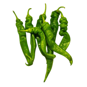 猗頓農場? 有機長辣椒 約200g 新鮮蔬菜
